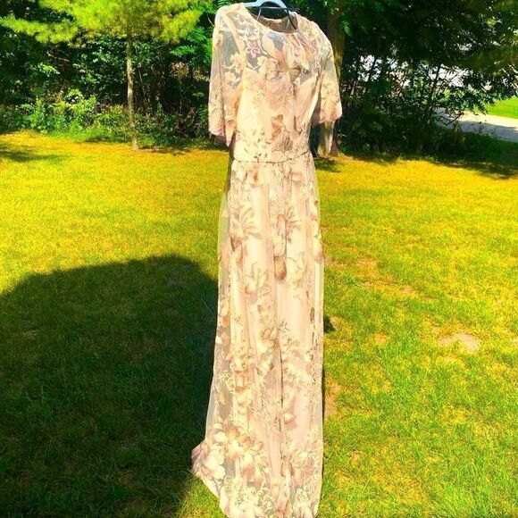 ADRIANNA PAPELL ROSE QUART LONG ILLUSION MESH DRESS 8 NWT - Picture 12 of 16